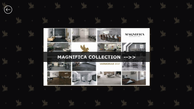 Magnifica(圖2)-速報App