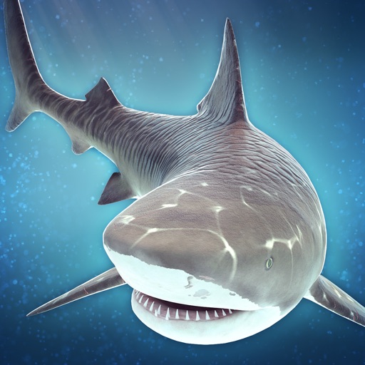 Shark Survival | Great Water World Evolution Game For Pros iOS App