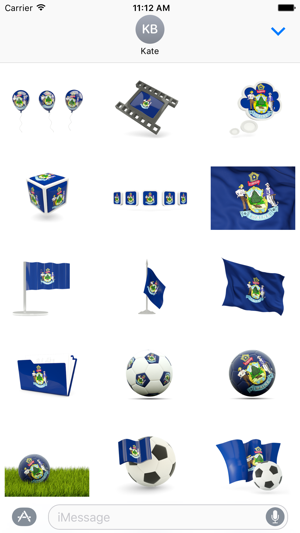 Maine Flag Stickers(圖1)-速報App