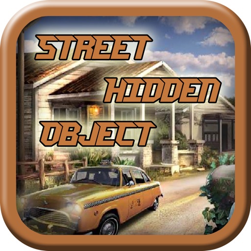 Street Hidden Object Icon