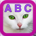 ABC Kittens - Learn Your ABCs