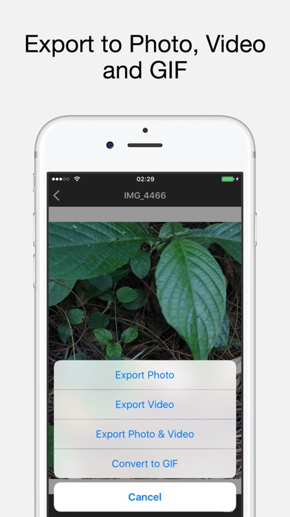 Live Exporter Pro: Live Photo to Viedeo & GIF