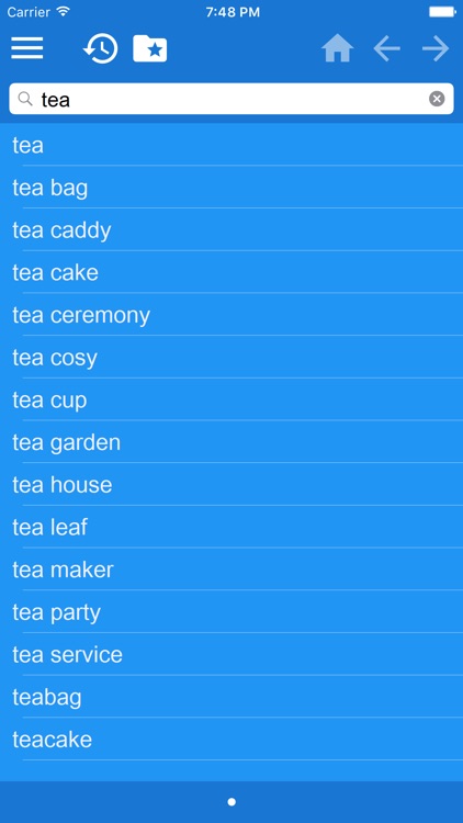 Vietnamese Multilingual dictionary