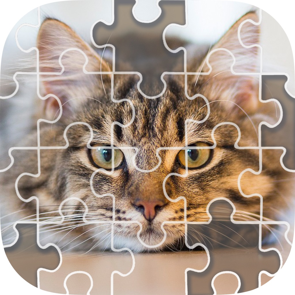 Get Sliding Block Game - Slide Puzzle & Photos for iOS, iPhone, iPad Aso Report