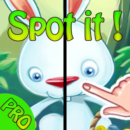 Easter Bunny Spot Differences Hidden Object icon