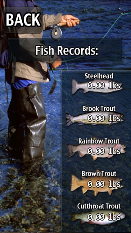 i Fishing Fly Fishing Edition