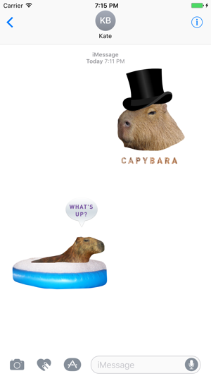 Capybara Stickers for iMessage(圖2)-速報App