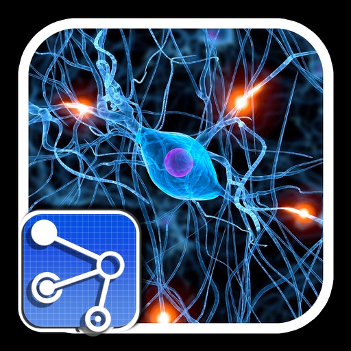 Neuro Net icon