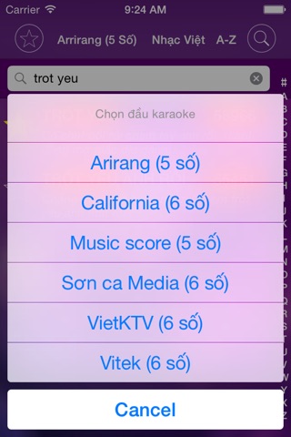 Karaoke So Vietnam screenshot 4