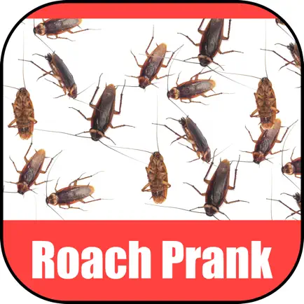 Roach Scare Prank Читы