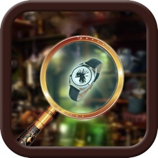 Activities of Hidden Object The Time Traveler