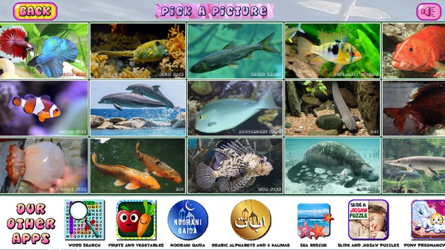 Puzzles of Aquatic Animals Free(圖3)-速報App