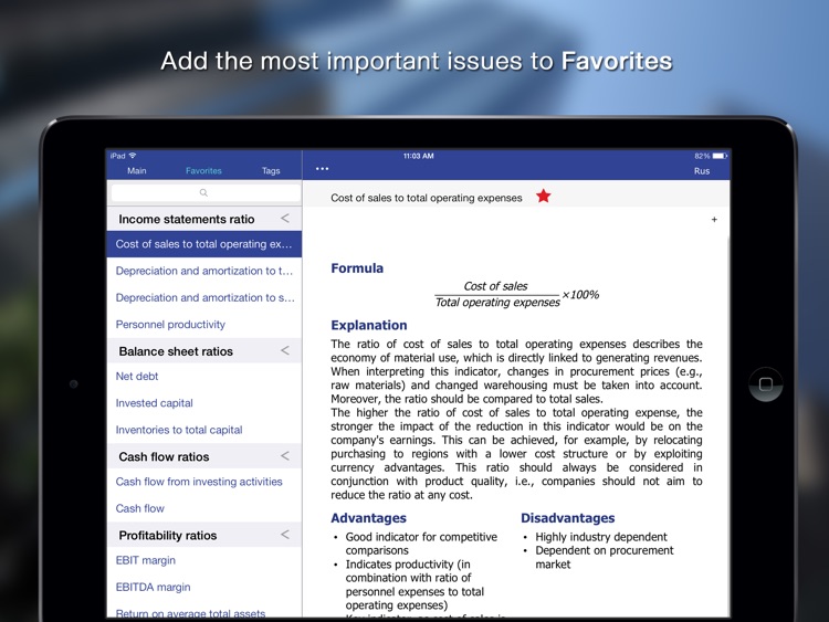 100 Financial Ratios for iPad
