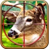 2016 Deer Hunt Night Pro