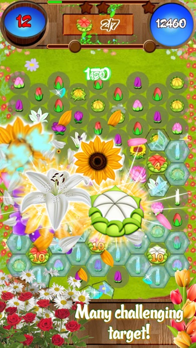 FLOWER FOREST BLAST 1.6 IOS GAME GIẢI TRÍ FLOWER FOREST BLAST 1.6 IOS