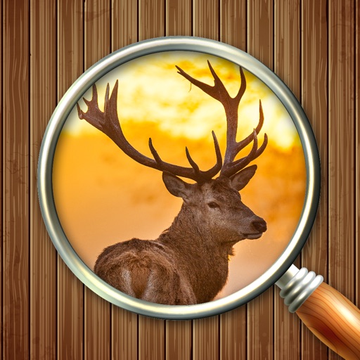 Zoom & Hidden Word - Animals Edition iOS App
