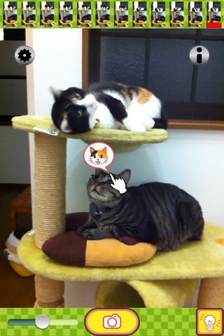 toruneko (KittyCam) screenshot 2