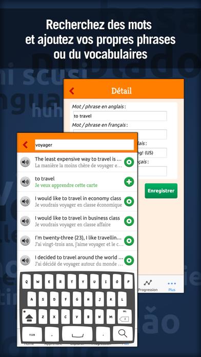 MosaLingua Anglais MosaLingua Anglais