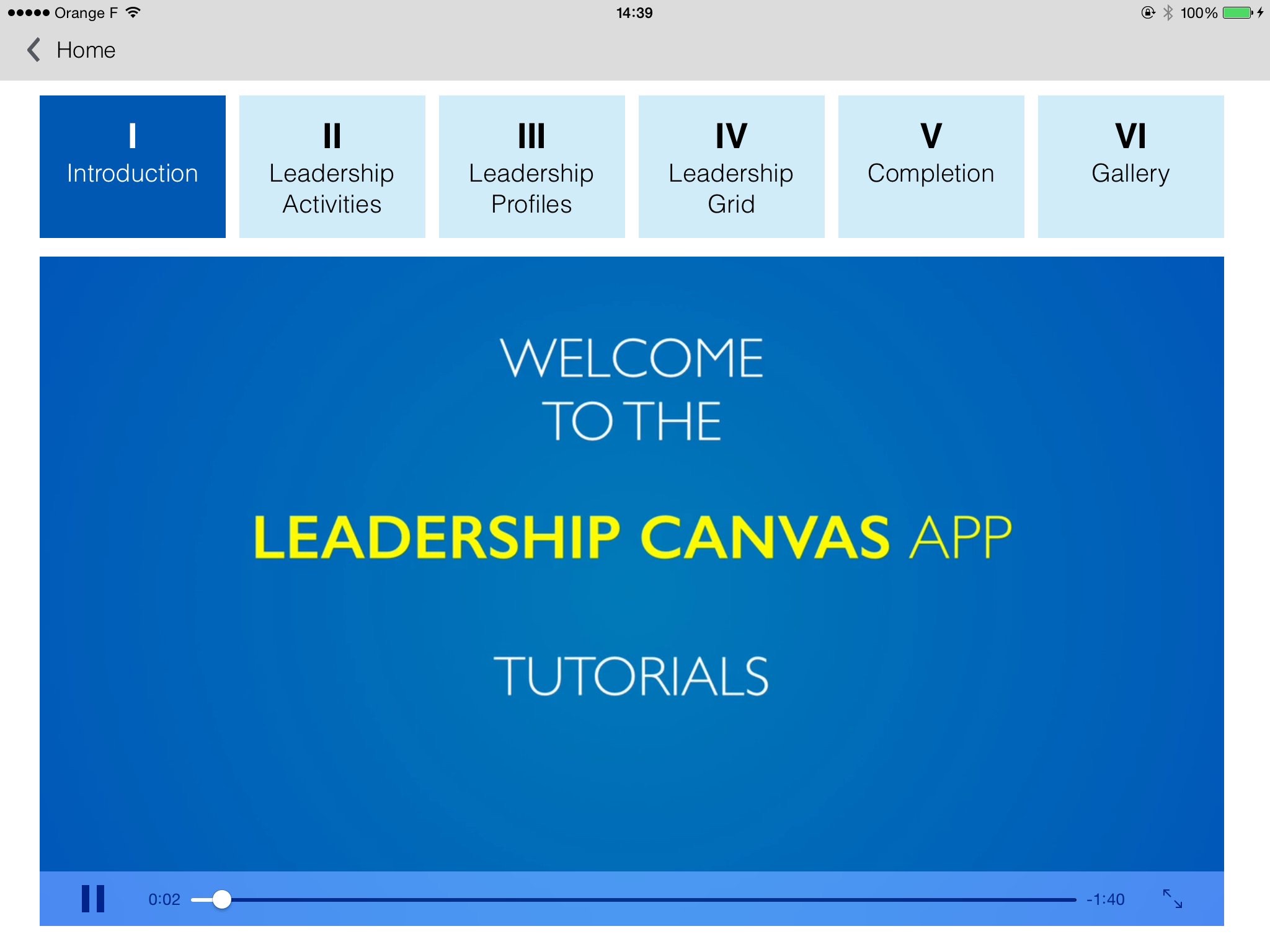 Blue Ocean Leadership - Leadership Canvas screenshot 2