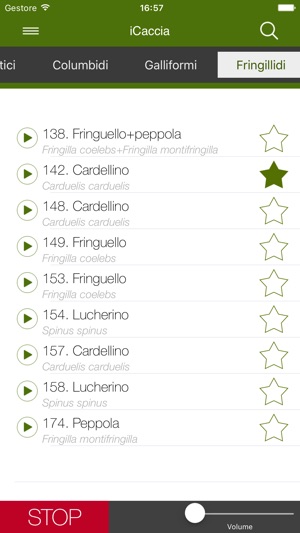 RICHIAMO TORDO BOTTACCIO SCARICARE