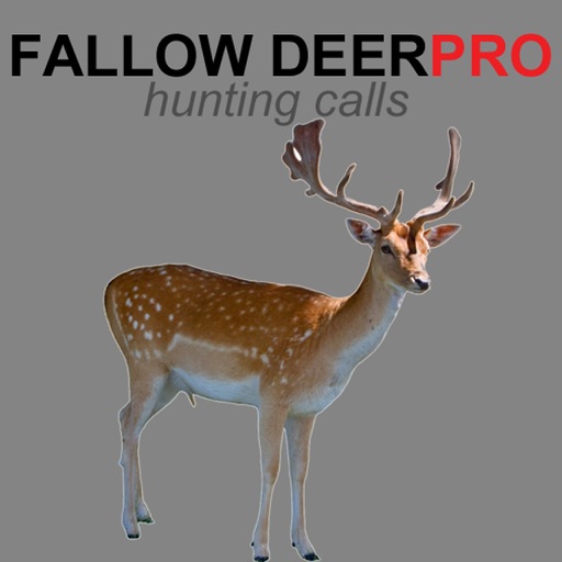 REAL Fallow Deer Calls - Deer Grunt & Deer Bark + BLUETOOTH COMPATIBLE icon