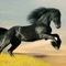 Beautiful Collection of Horse Wallpapers for all Horse Lovers