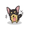 My Chihuahua Sticker Pack for iMessage