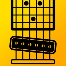 Activities of Steel Guitar