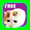 Kitty Stickers-Superimpose Photo Stamps!
