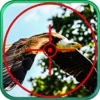 2016 Turkey Eagle Shooting - Shotgun Hunter