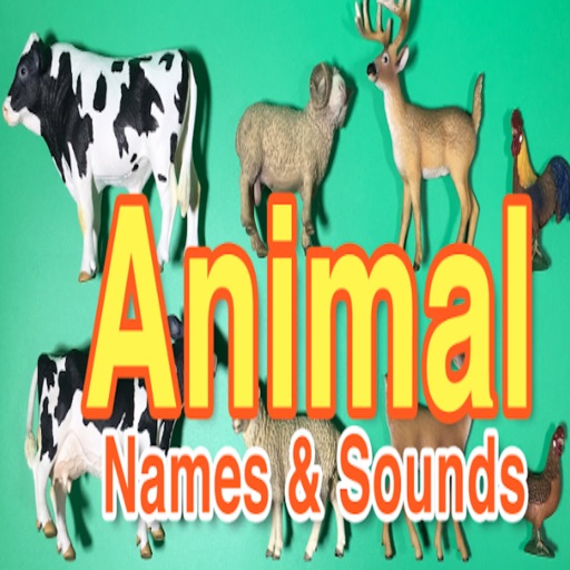 ABC Alphabets Animale Names Learning-Kids Teacher Icon