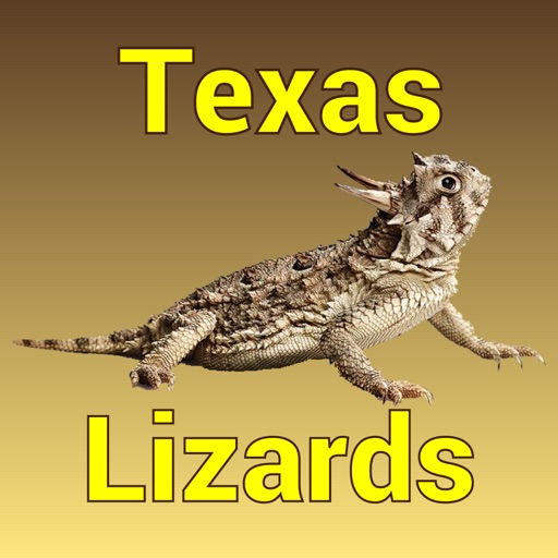 Texas Lizards – Guide to the Most Common Species