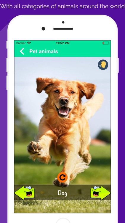 150+ Animal Sounds Lite screenshot-3