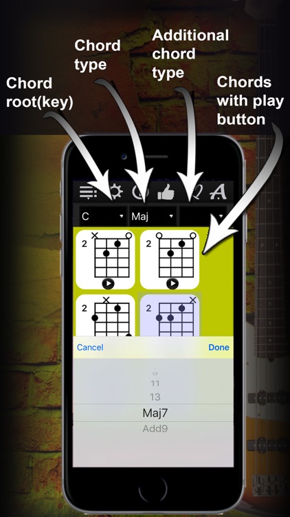 Bass Chords Compass - learn & play chord charts