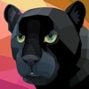 VPN - Panther Hide My IP
