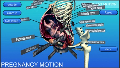Pregnancy Motion Anatomy screenshot 3