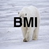 Polar BMI Free