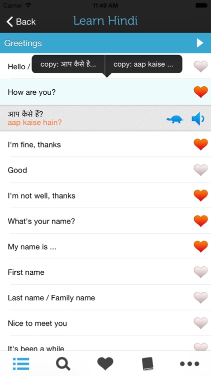 Learn Hindi - Phrasebook for Travel in India screenshot-0
