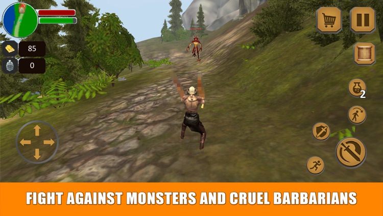 Viking Hero - Blade Sacrifice