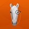 PonyApp makes managing your horses and businesses a breeze