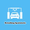 Detailing Spalatorie