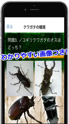 Game screenshot クワガタ・カブトムシがわかる！クワカブクイズ apk