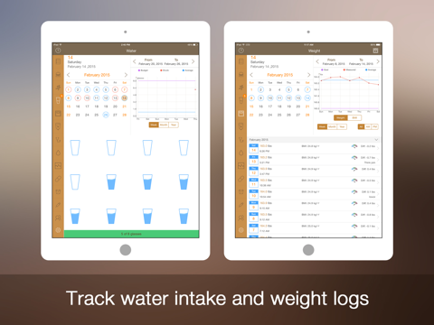 Daily Carb Pro for iPad - Carbs Counter & Tracker - náhled