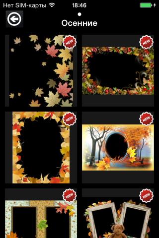 Autumn Frames Plus screenshot 2