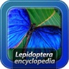 Lepidoptera Encyclopedia