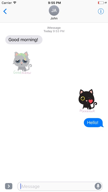 KIKI Cat