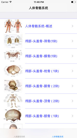 人类器官系统|人体骨骼构造大全