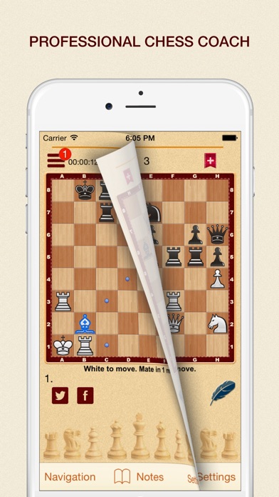 Chess? OK! 3000 chess... screenshot1