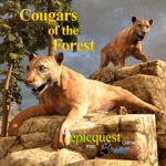 Cougars of the Forest
