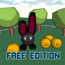 Activities of Black Rabbit! Free